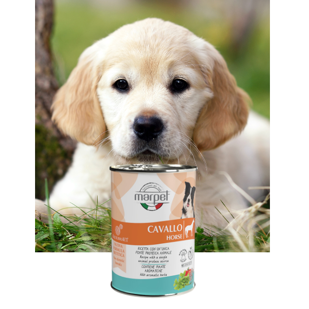 Marpet Equilibria 狗罐頭 單一蛋白系列．馬肉配方410g
