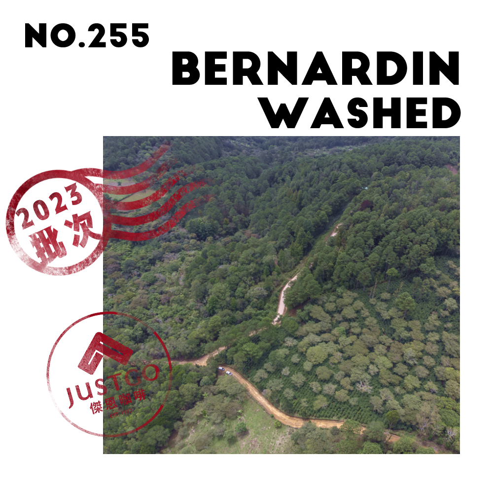 [生豆] No.255 宏都拉斯 貝納丁莊園 水洗