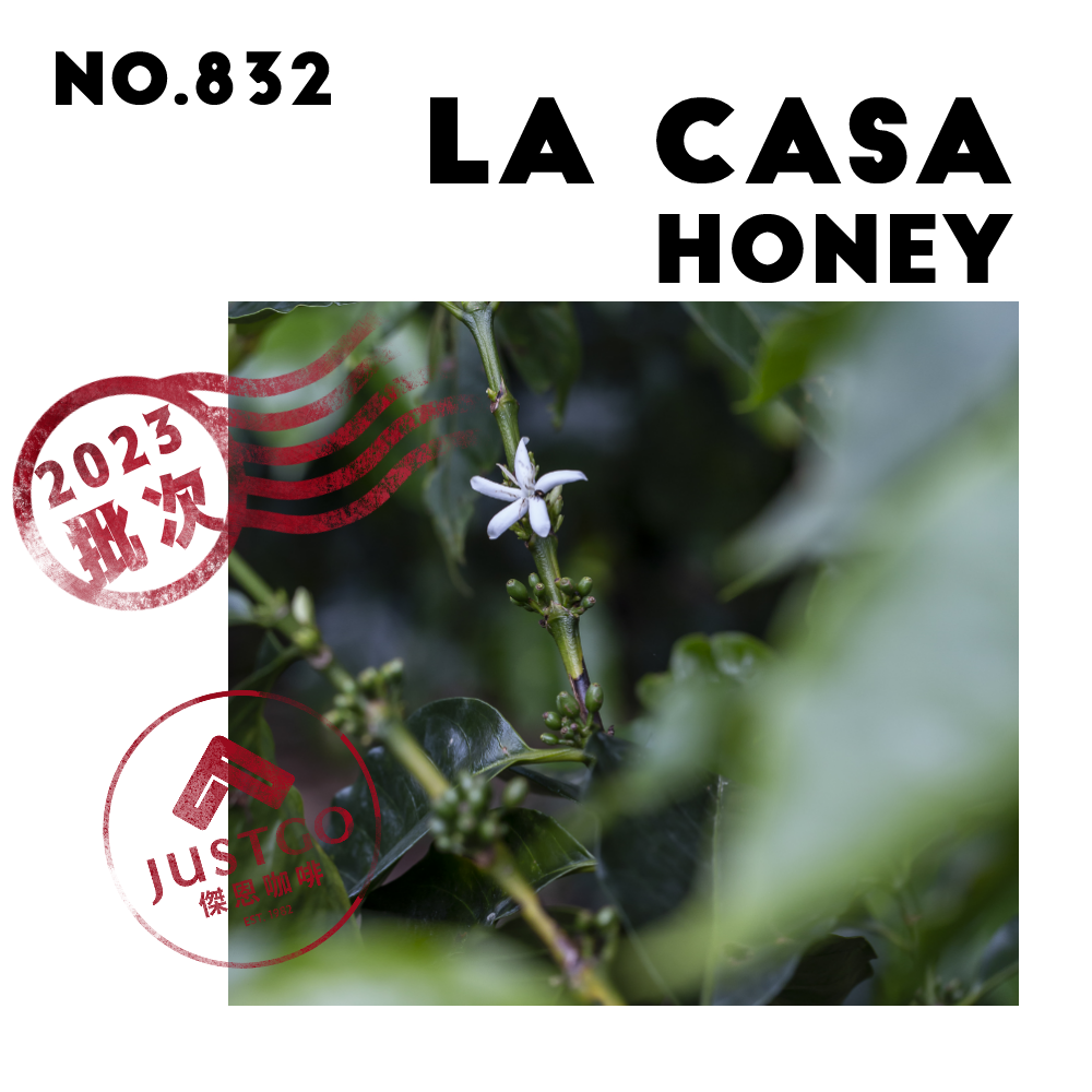 [生豆] No.832 宏都拉斯 城堡莊園 蜜處理