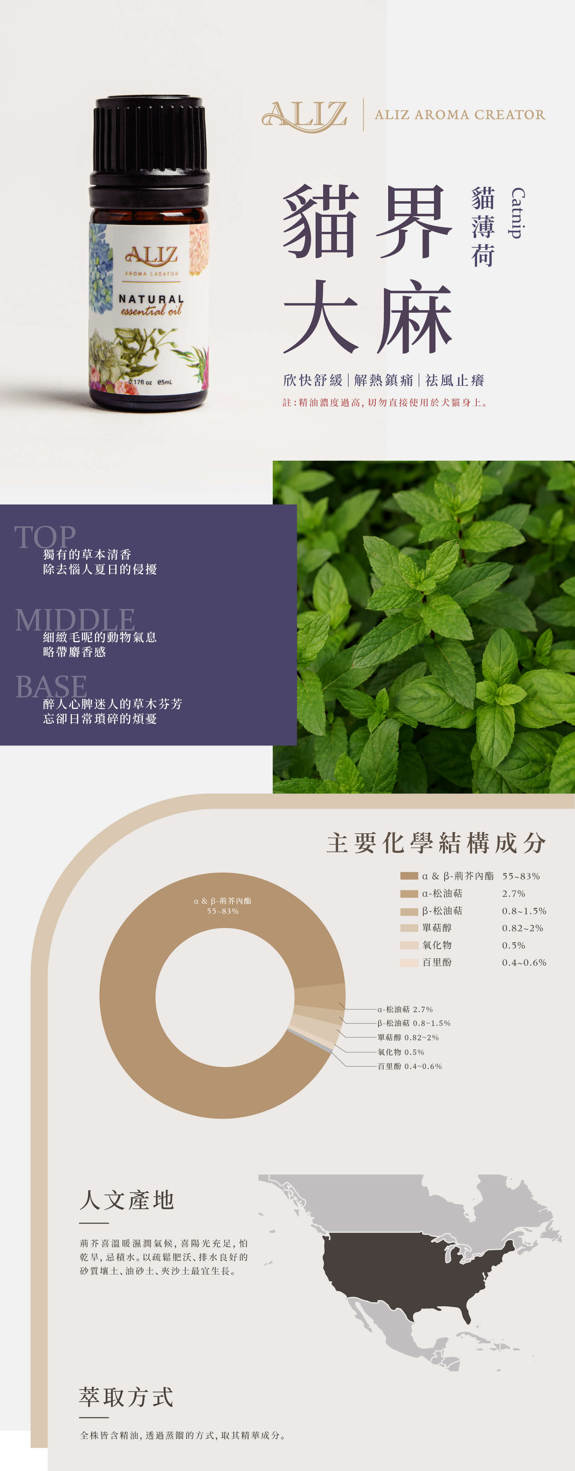 貓薄荷精油產品資訊