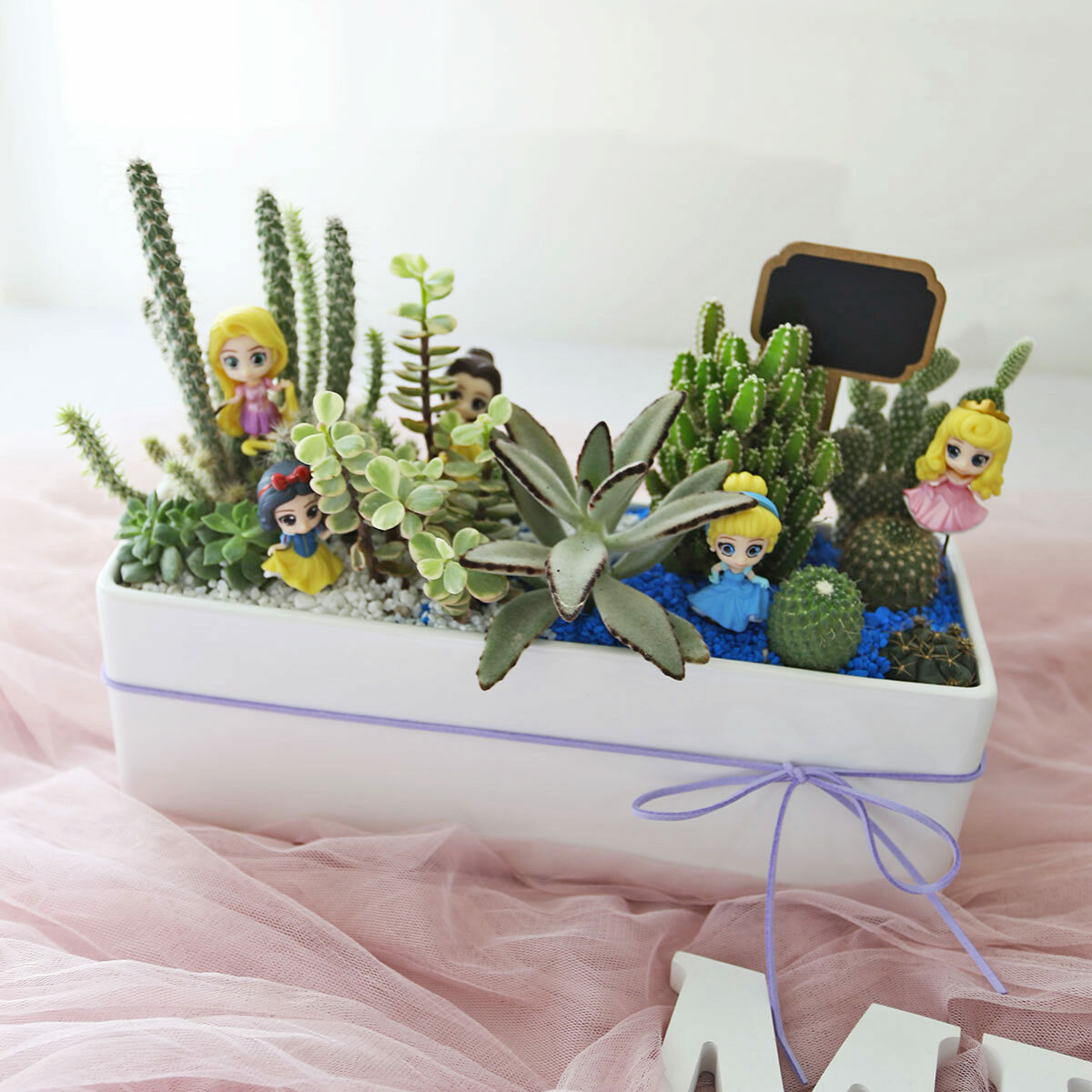 PD144｜仙人掌陶瓷盆植栽