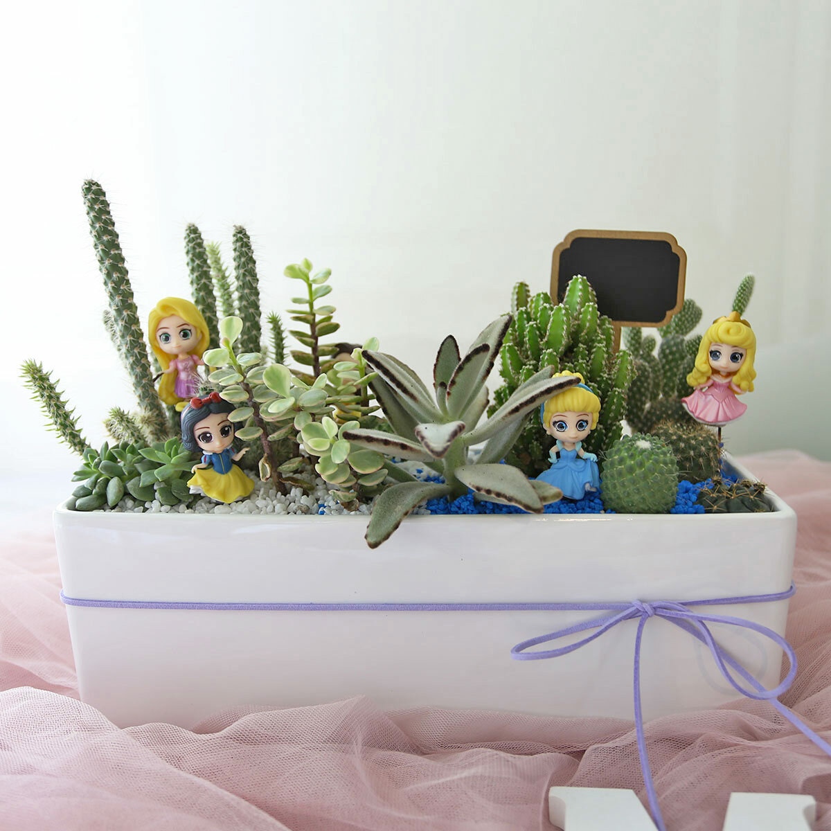 PD144｜仙人掌陶瓷盆植栽