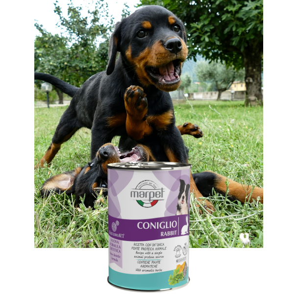 Marpet Equilibria 狗罐頭 單一蛋白系列．兔肉配方410g