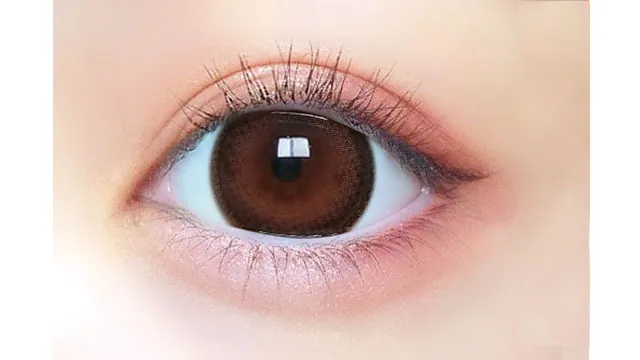 [日拋] BABY MOTECON Baby Ring Mocha 每日拋棄型有色彩妝隱形眼鏡｜每盒10片