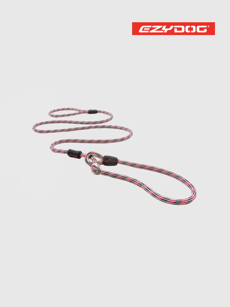 【澳洲EZYDOG】路卡2合1牽繩170cm 紅色｜訓練及外出結合為一