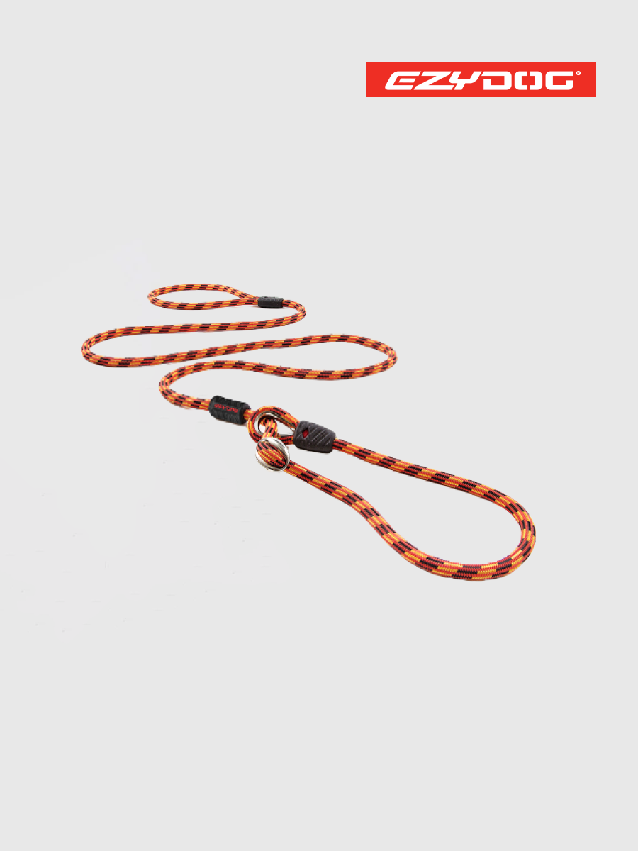 【澳洲EZYDOG】路卡2合1牽繩170cm 橘色｜訓練及外出結合為一