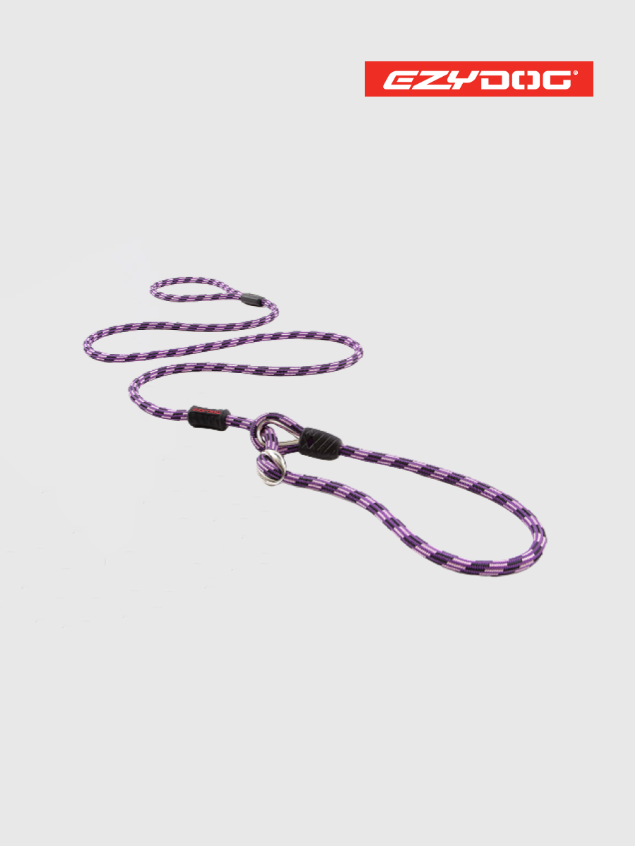 【澳洲EZYDOG】路卡2合1牽繩170cm 紫色｜訓練及外出結合為一