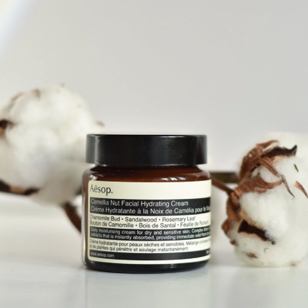 Aesop - Camellia nut facial hydrating cream  山茶核仁滋潤面霜 60ml