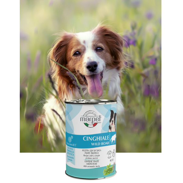Marpet Equilibria 狗罐頭 單一蛋白系列．野豬肉配方410g