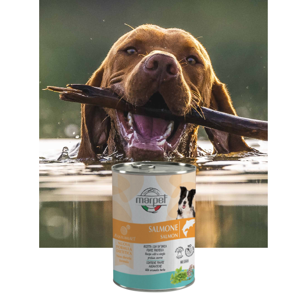 Marpet Equilibria 狗罐頭 單一蛋白系列．三文魚配方400g