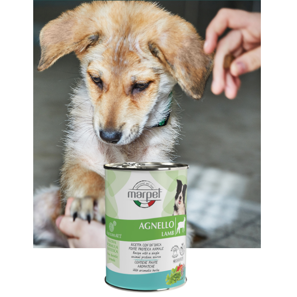 Marpet Equilibria 狗罐頭 單一蛋白系列．羊肉配方400g