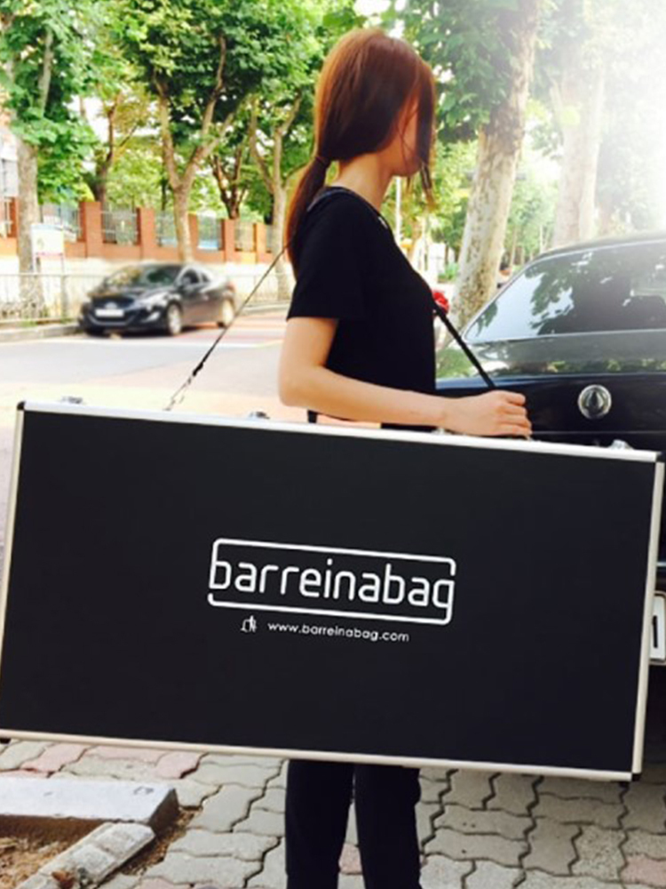 韓國  TZ - Duet Bag 專用攜帶箱【Excl . Bag】