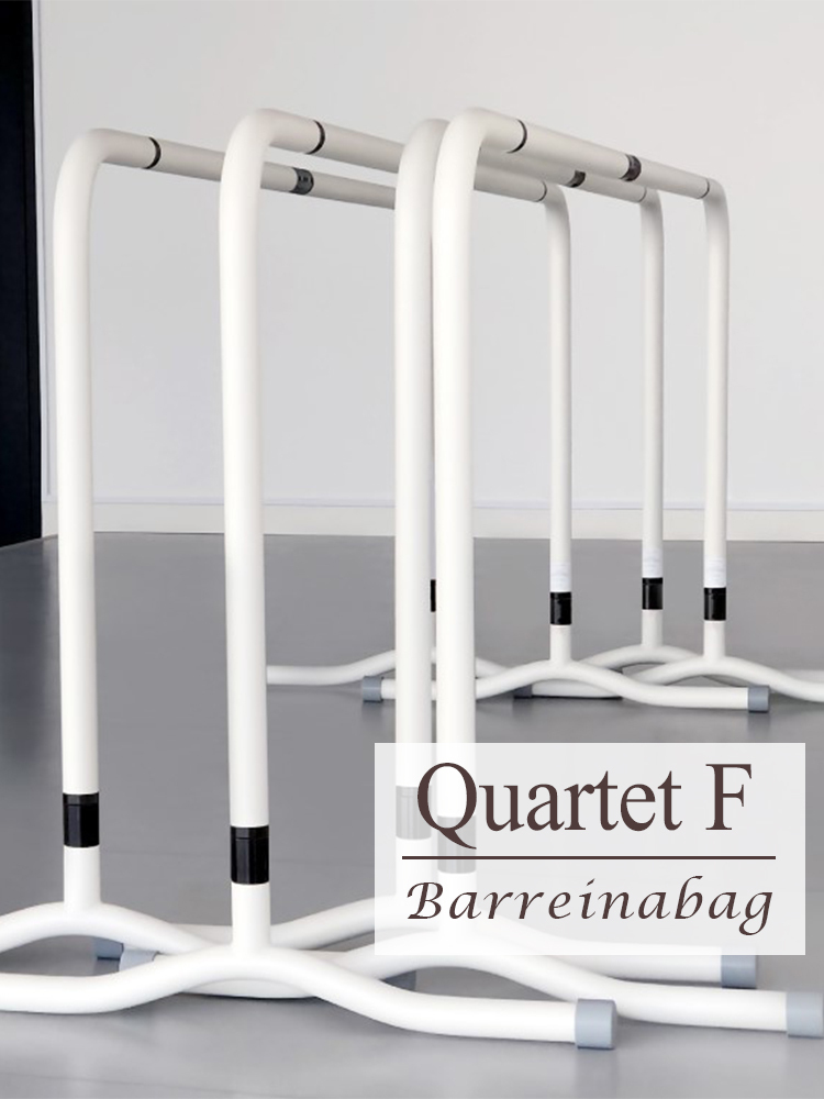 韓國 Barreinabag 教室用長型把桿 - TZ-Quartet F (高度固定)