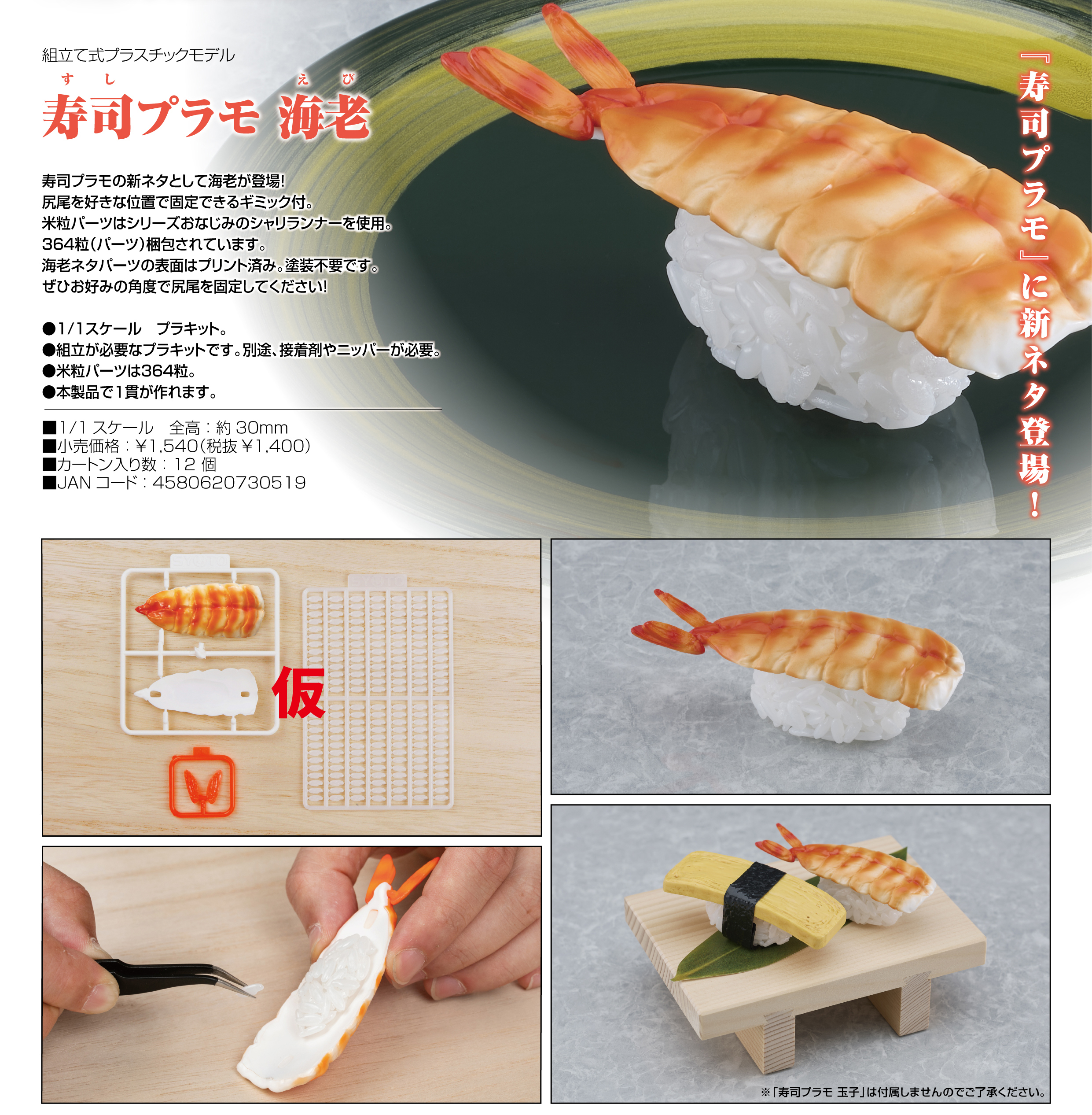 「ACG.GO」「預購」日版 StudioSYUTO 蝦子 壽司組裝模型 1/1 Figure