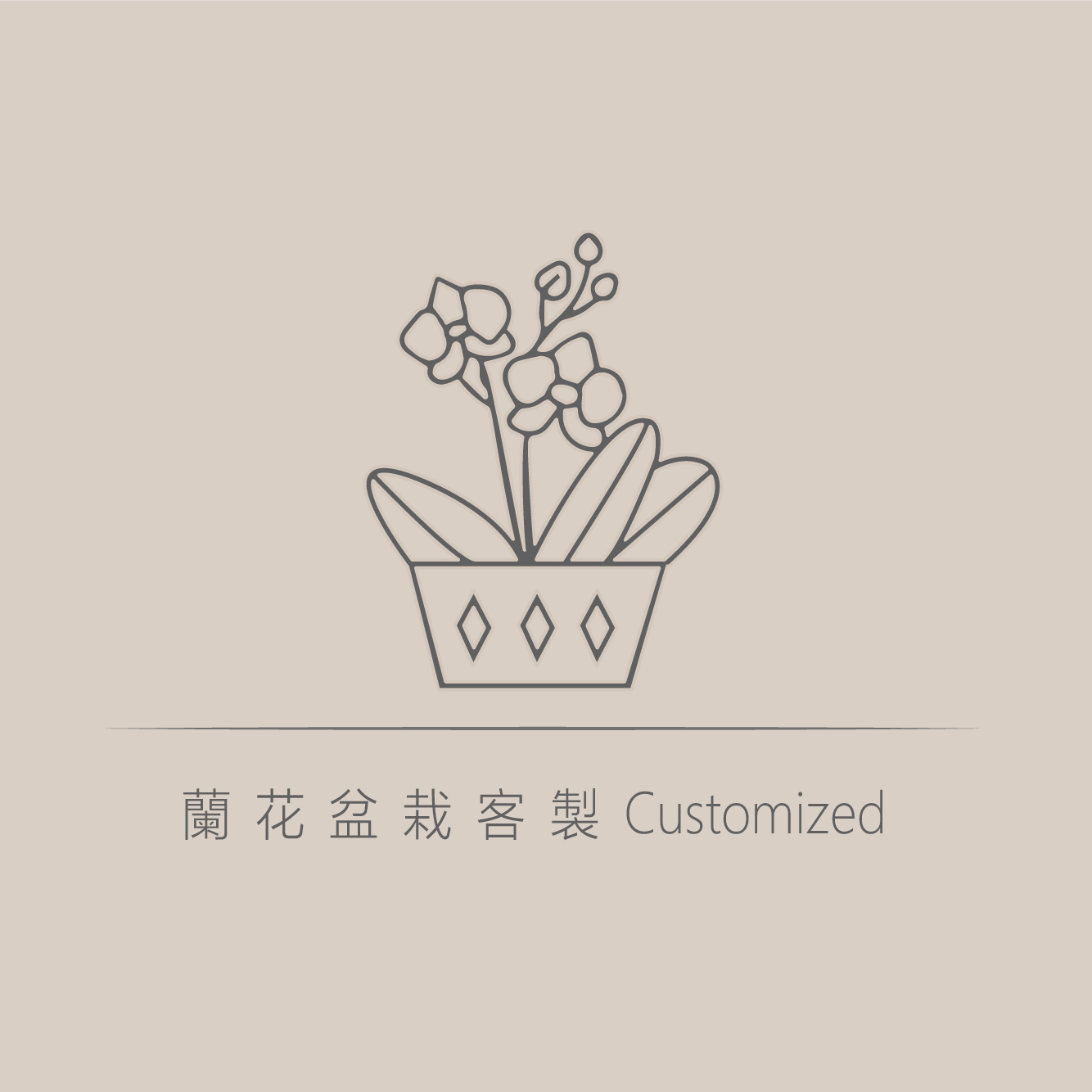 蘭花盆栽客製化