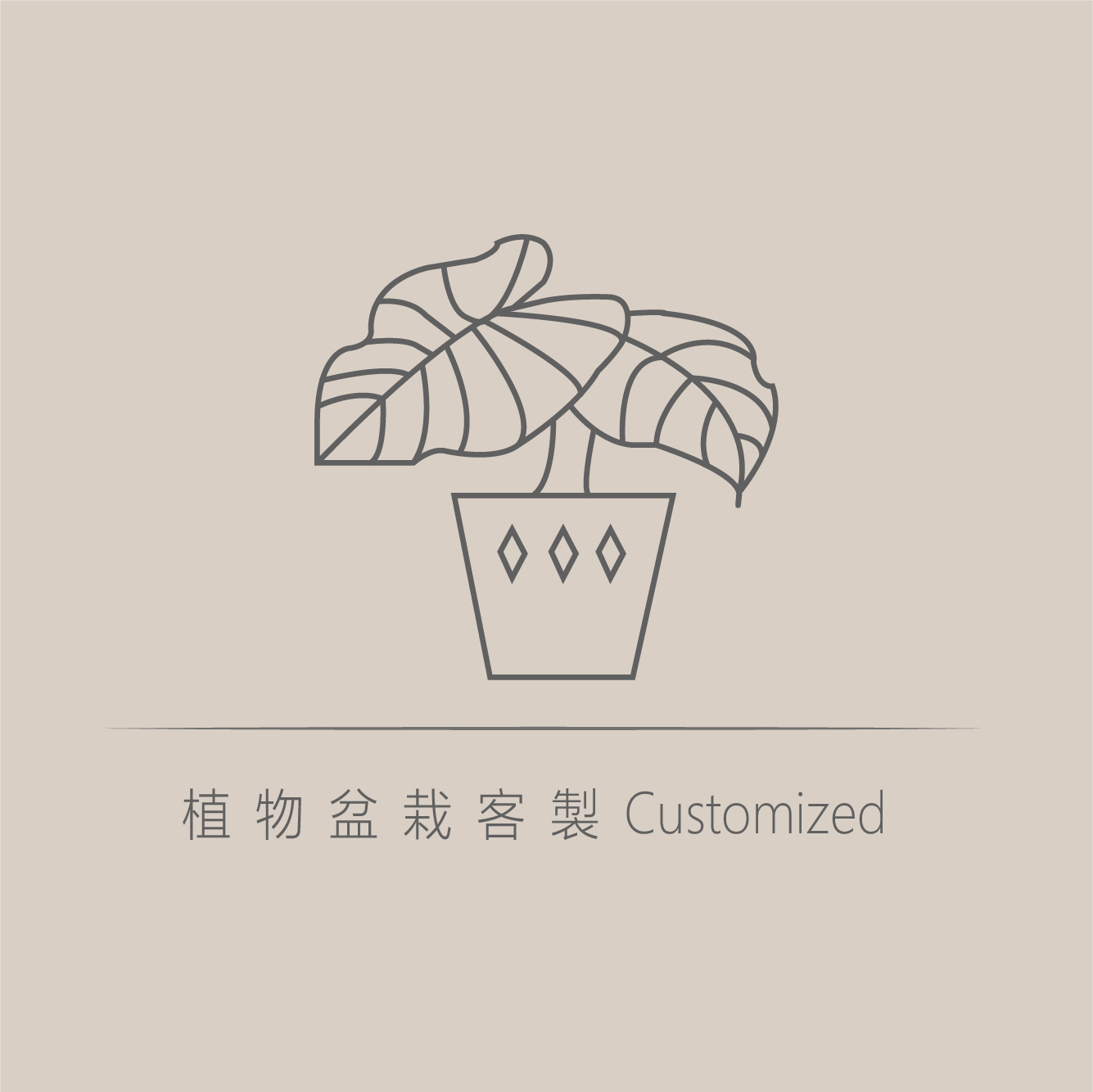 植物盆栽客製化