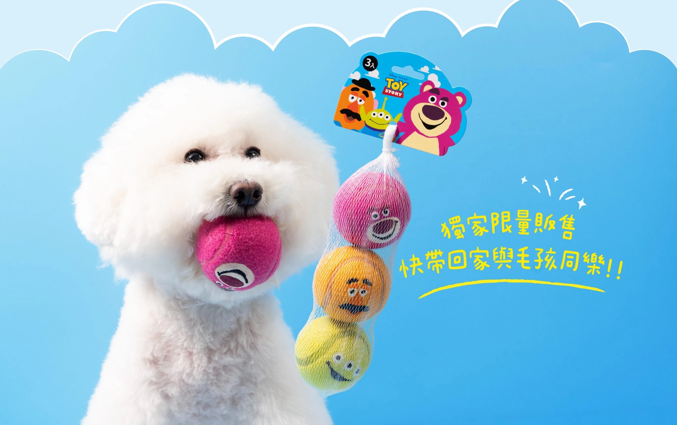 SELECT / 犬用 狗狗彈力球 (3入)