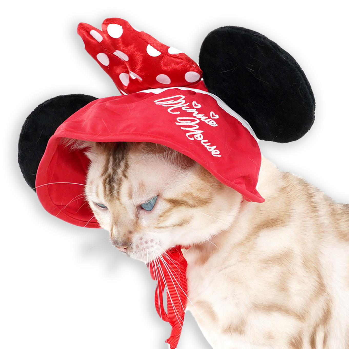 Minnie Mouse Premium Disney Ears Sun Hat for Pets
