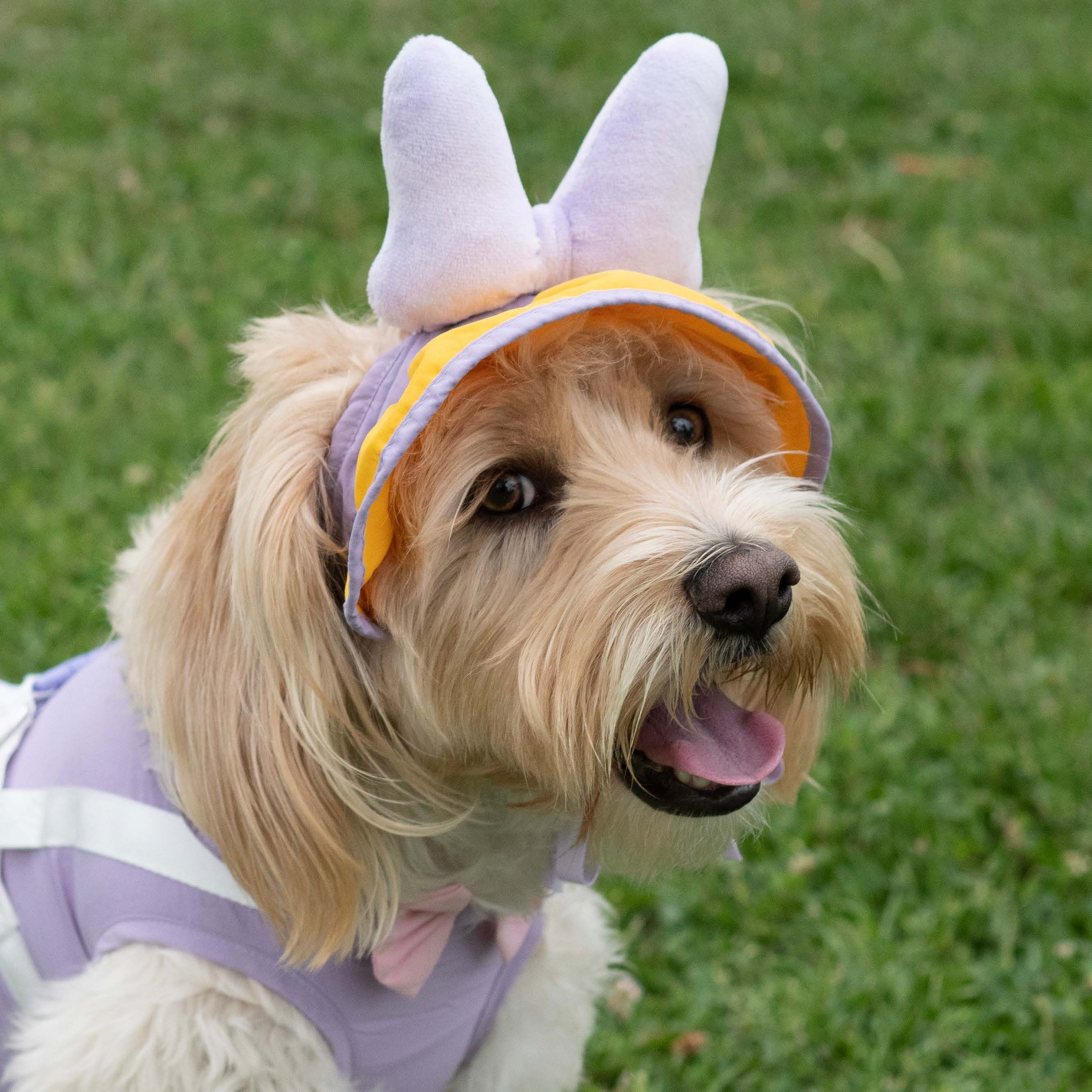 Daisy Duck Premium Disney Sun Hat for Pets