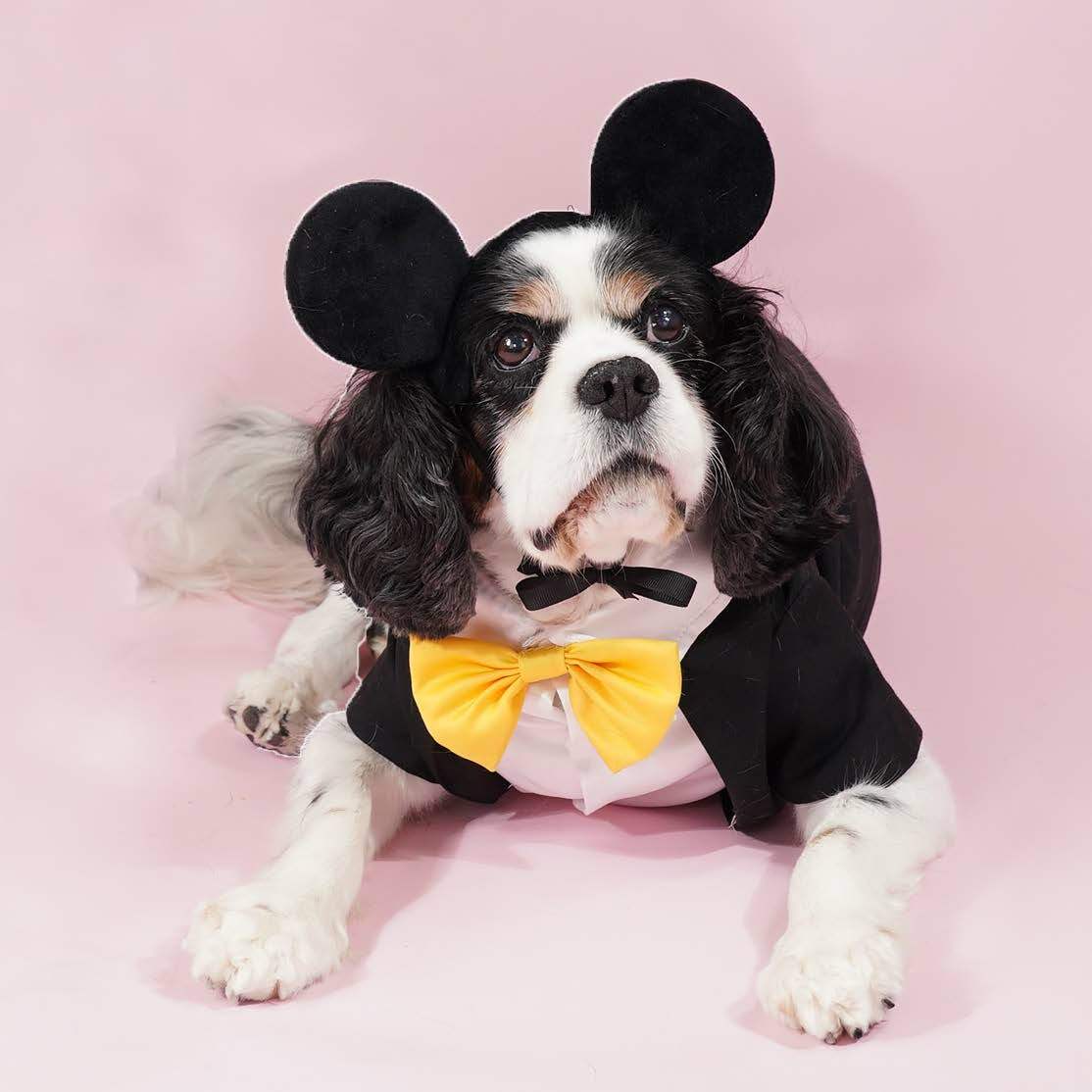 Mickey Mouse Premium Disney Costume Set for Pets