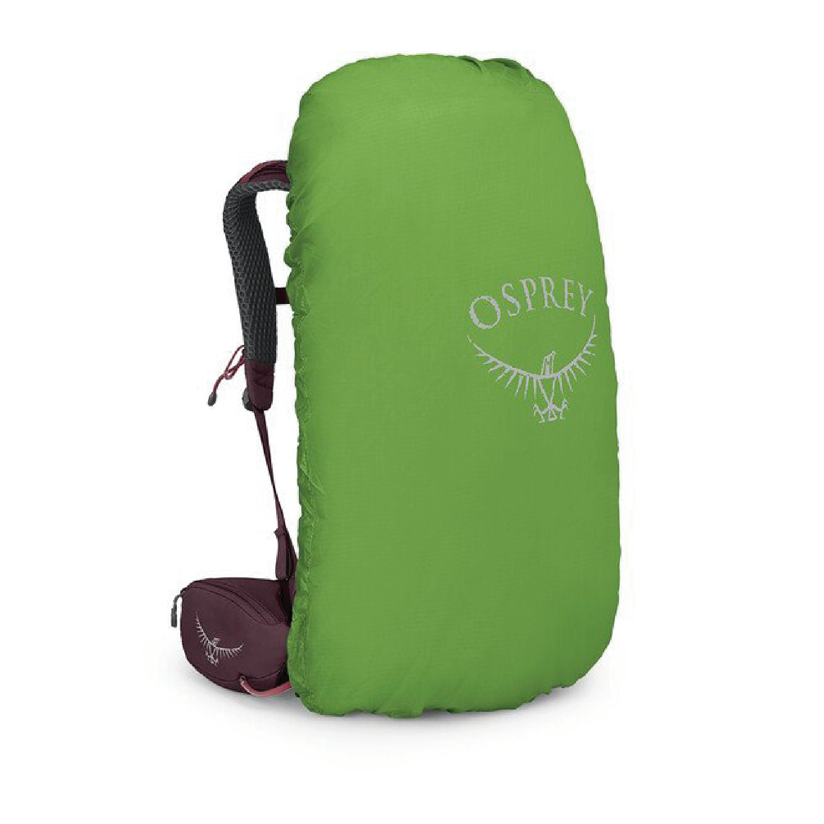 Osprey Kyte 38L 接骨木莓紫 M/L 登山背包 穩定/後背/登山/健行 72OS004793