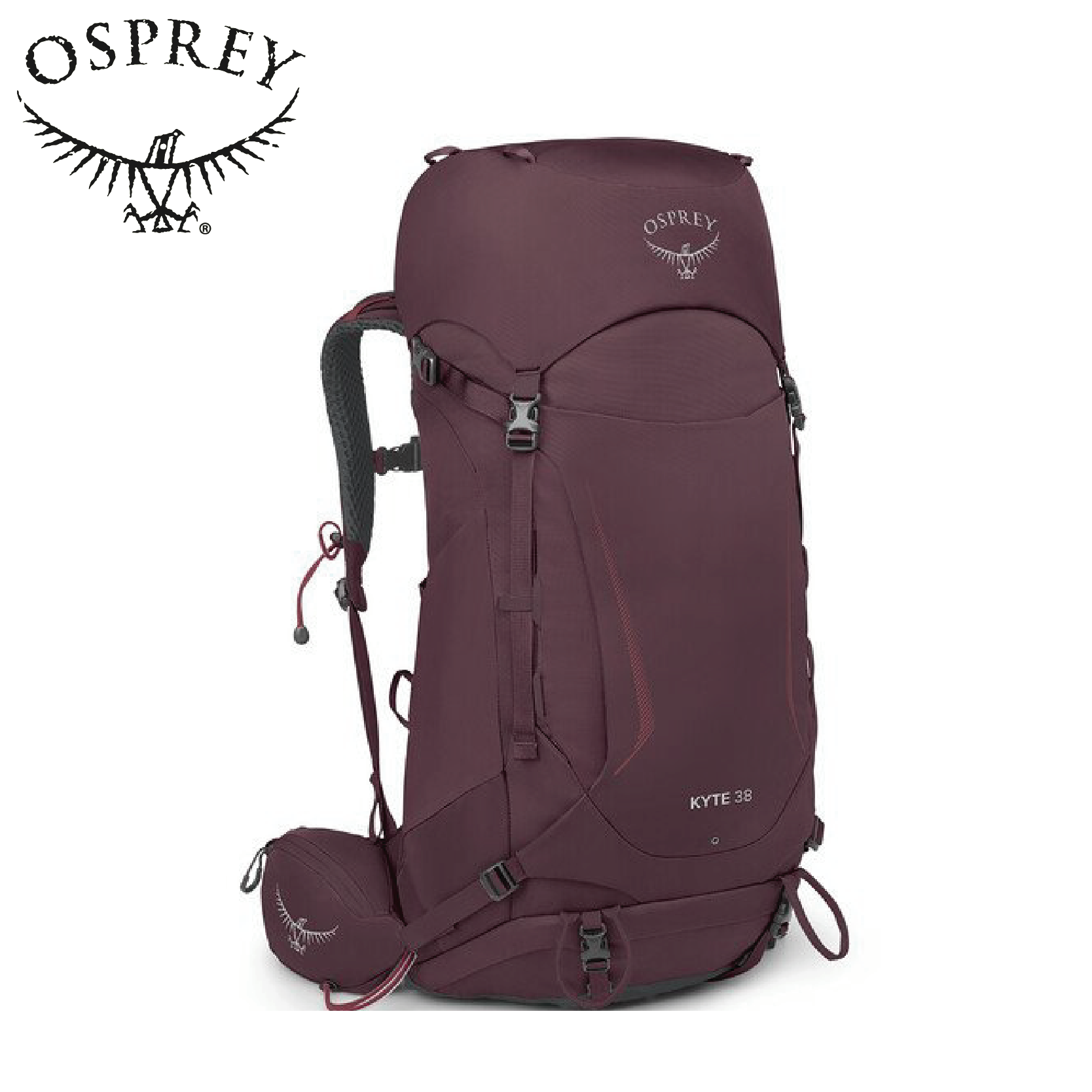 Osprey Kyte 38L 接骨木莓紫 M/L 登山背包 穩定/後背/登山/健行 72OS004793