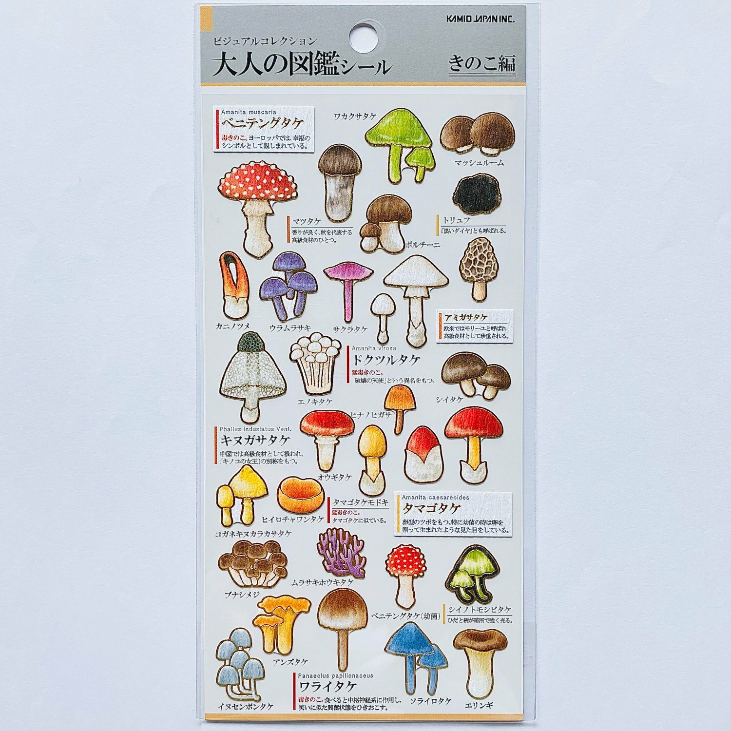 蘑菇 大人的圖鑑 金箔壓印手帳貼紙｜日本Kamio
