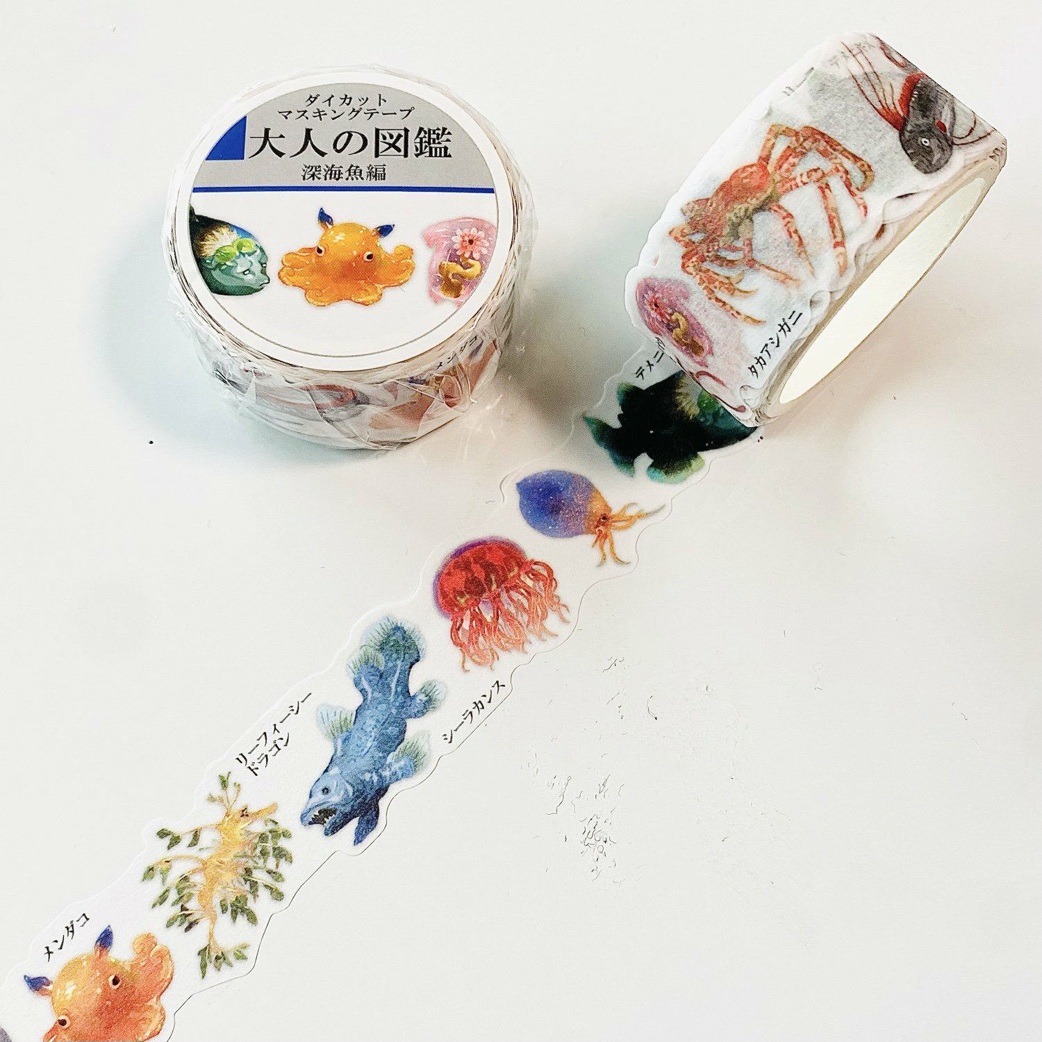 深海魚 大人的圖鑑 20mm和紙膠帶｜日本Kamio