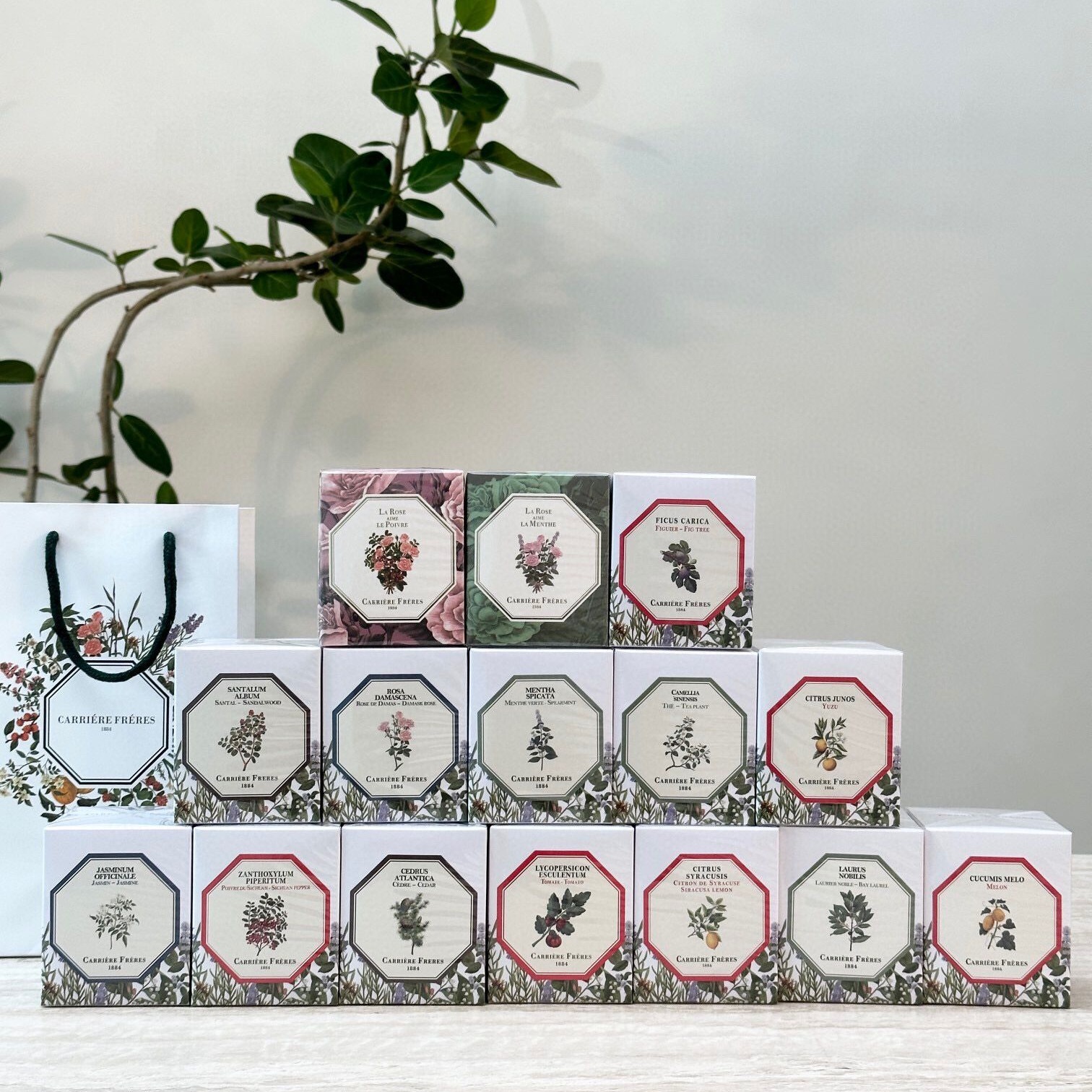 Carrière Frères植物學家香薰蠟燭