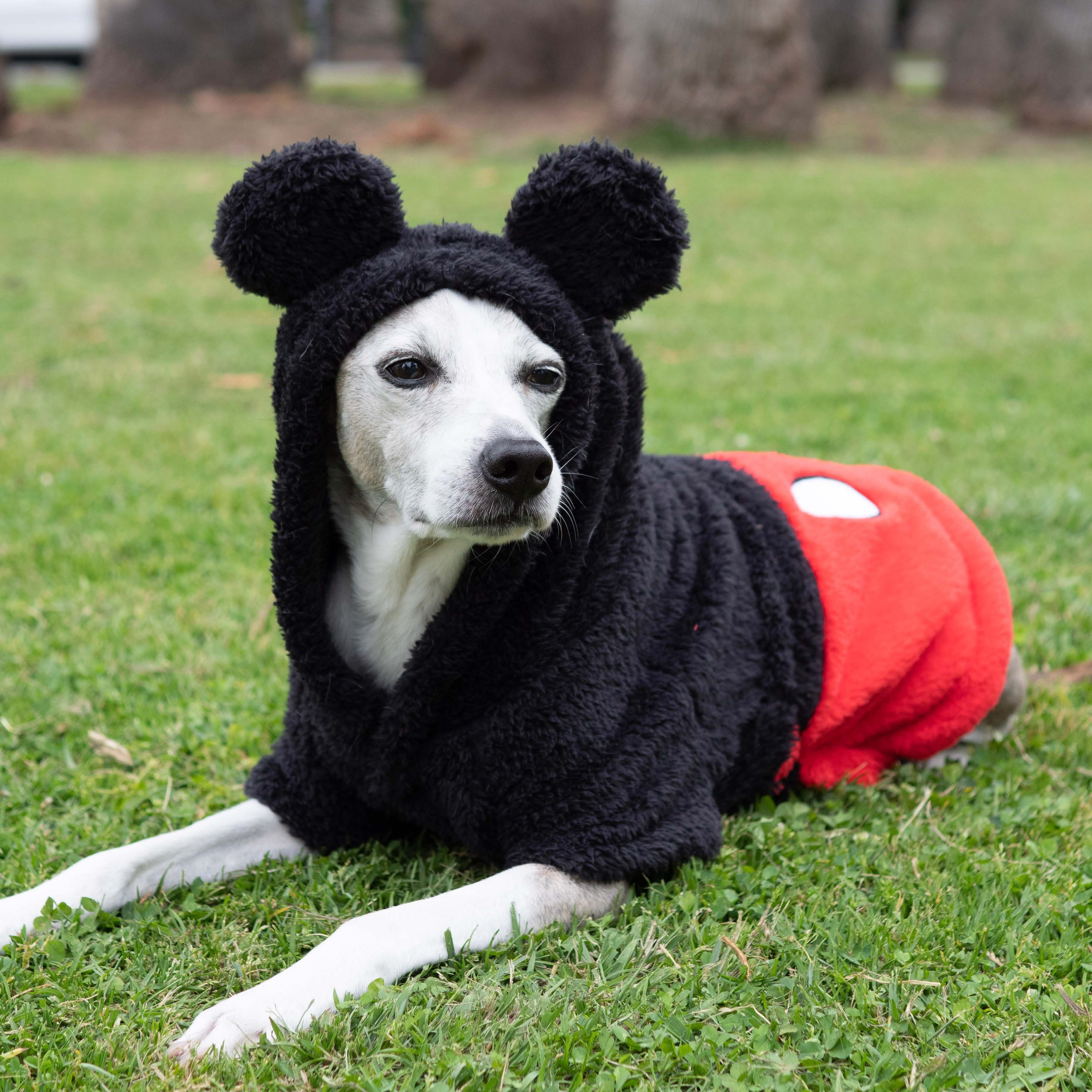 Mickey Mouse Premium Disney Spa Robe for Pets