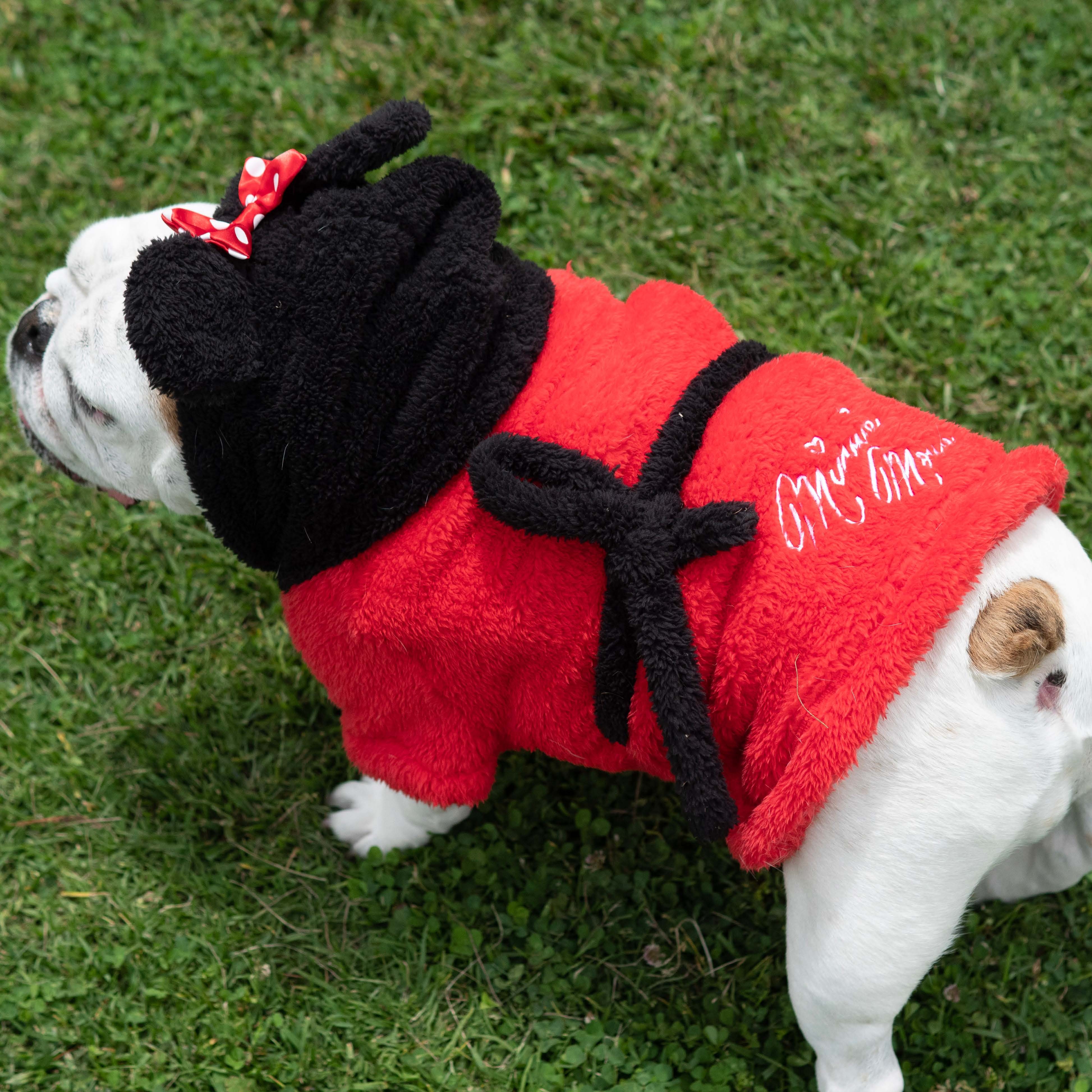 Minnie Mouse Premium Disney  Spa Robe for Pets