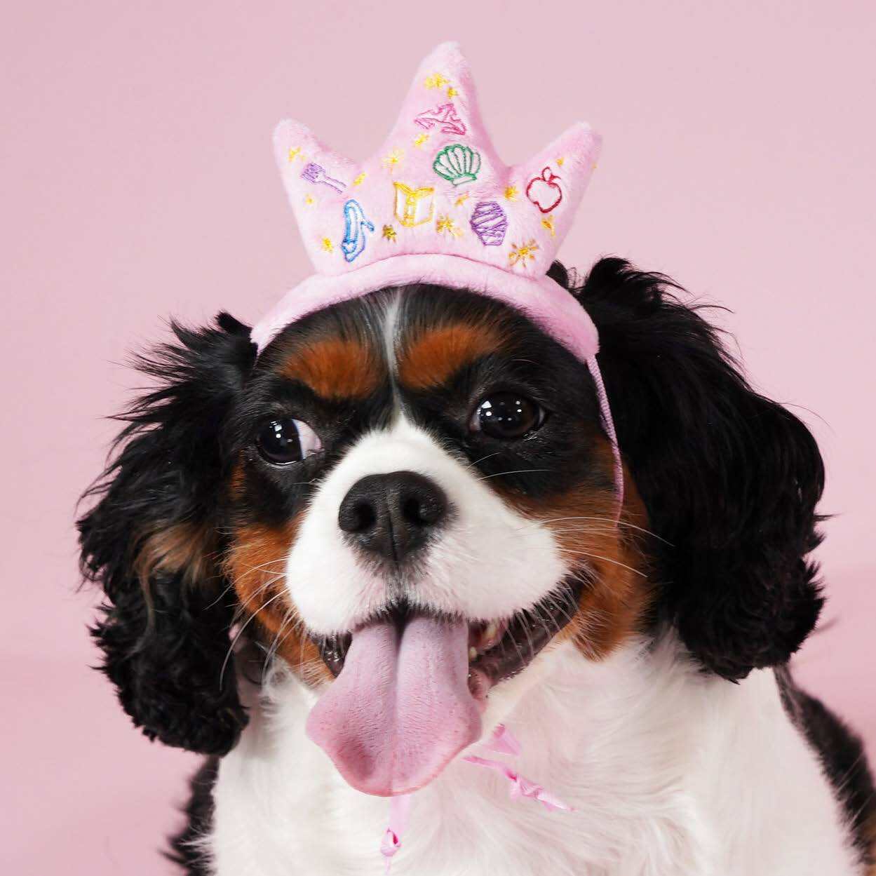 Disney Princess Premium Crown Head Accessory for Pets