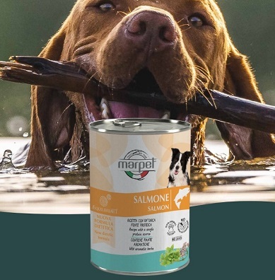 意大利 Marpet Equilibria均衡系列 狗濕糧 400g - 三文魚【原箱24 罐】