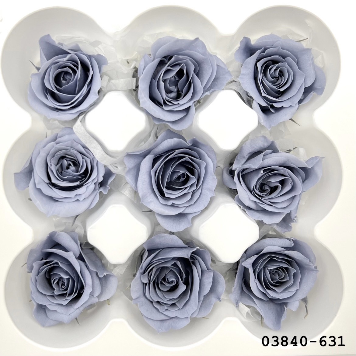 不凋小輪玫瑰(9朵) 03840-631