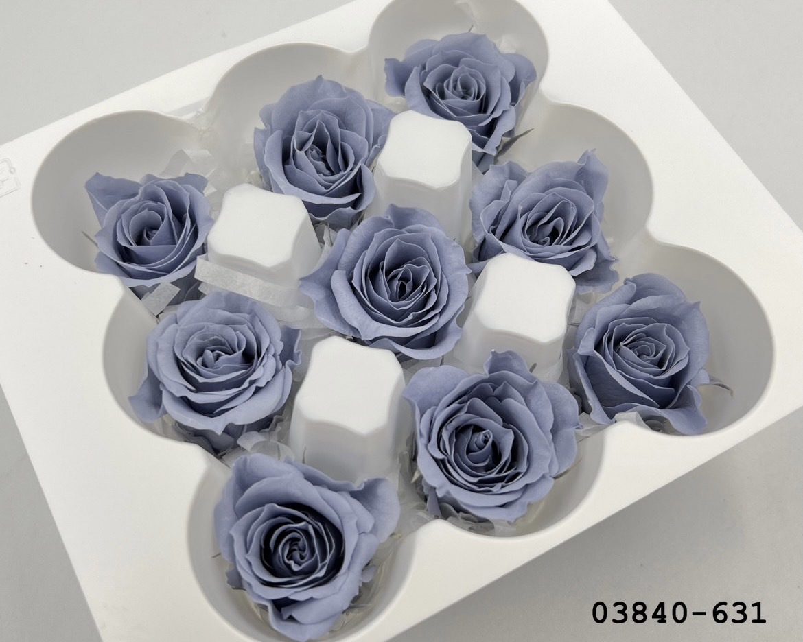 不凋小輪玫瑰(9朵) 03840-631