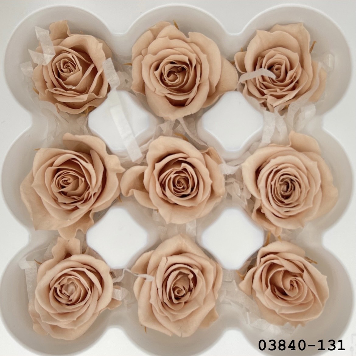 不凋小輪玫瑰(9朵) 03840-131