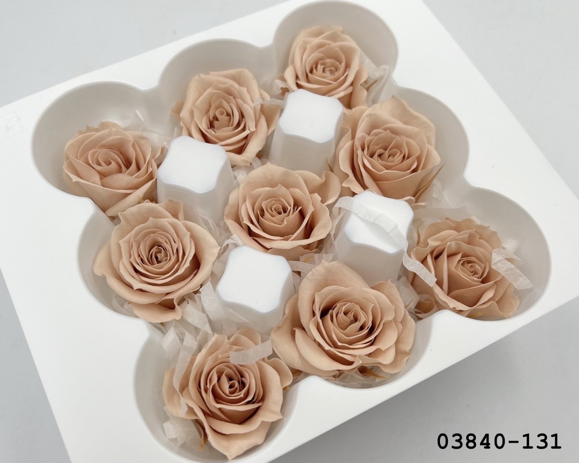 不凋小輪玫瑰(9朵) 03840-131