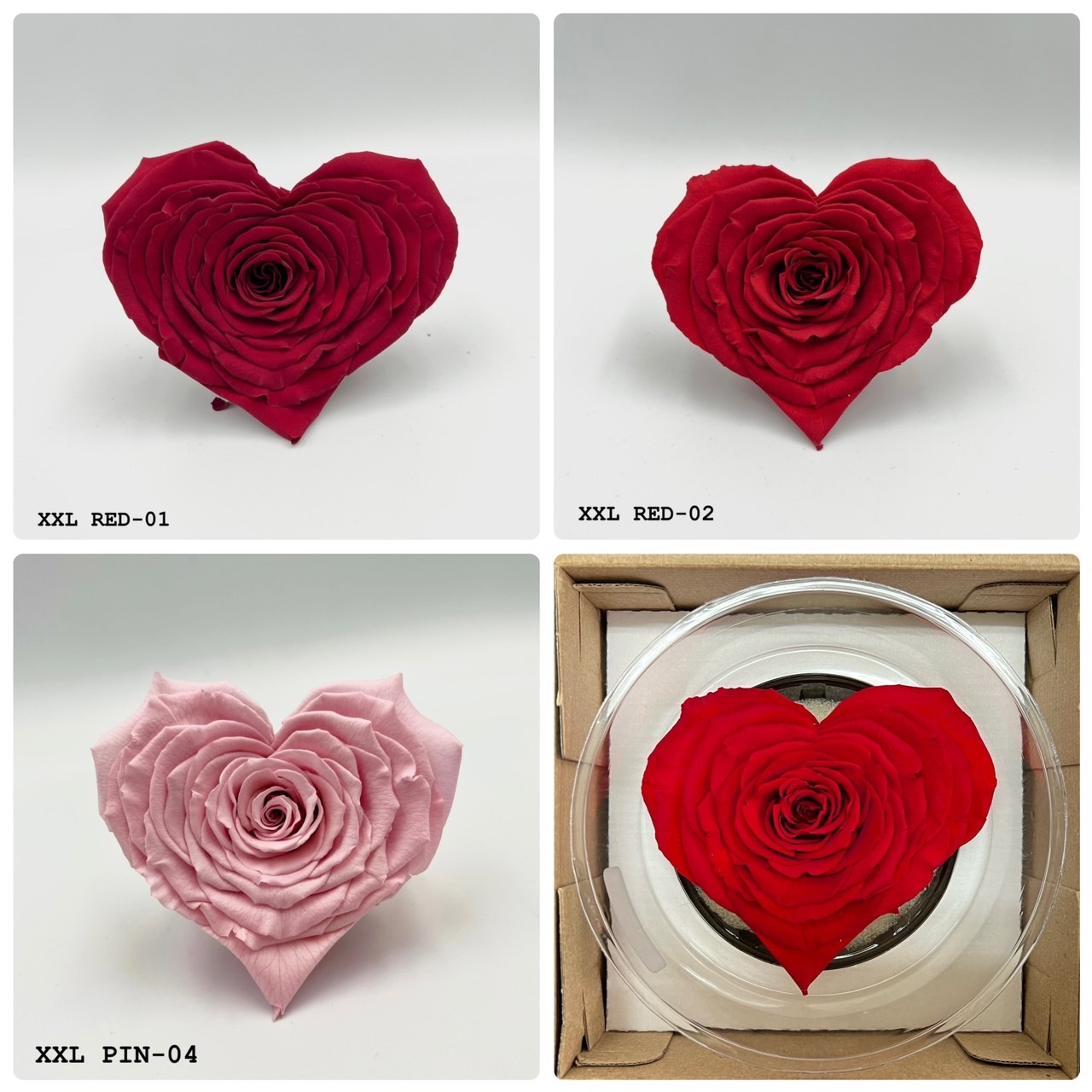 厄瓜多 Roseamor 心型玫瑰單朵裝