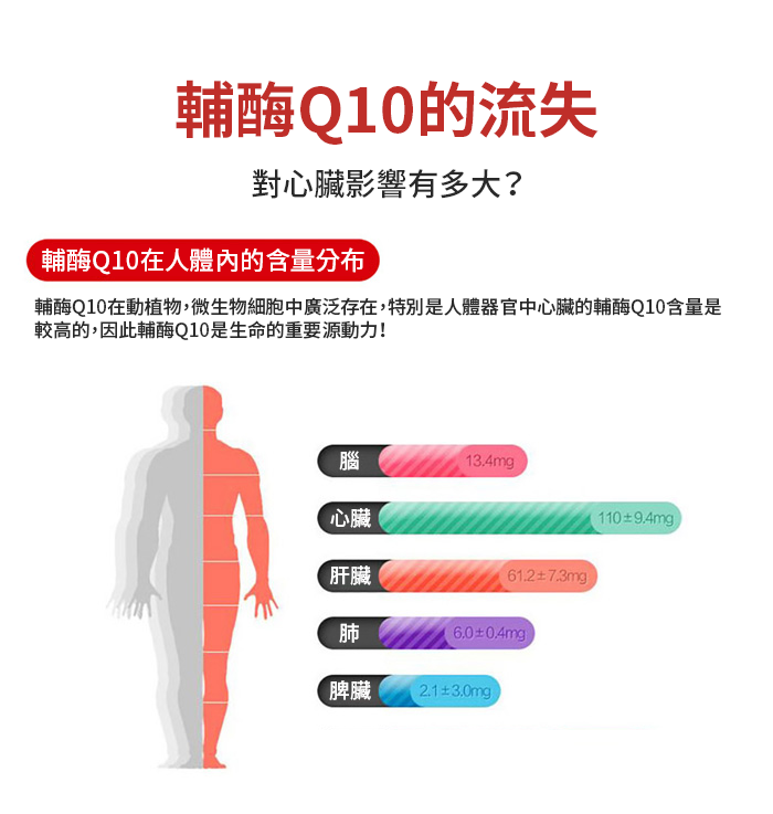 【 Spruce Nutrition 】強健心臟 還原型輔酶 Q10｜30 粒裝（美國原裝行貨）