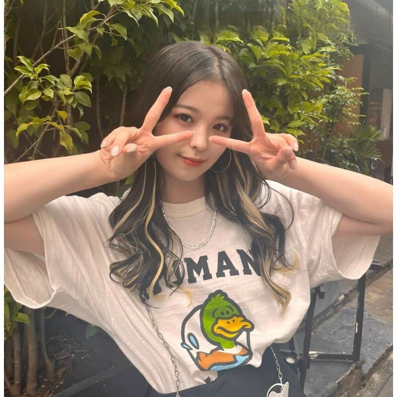 HUMAN MADE 22ss游泳 綠頭鴨飛鴨短袖 T恤 短袖 短T