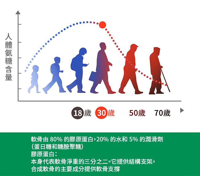 【 Spruce Nutrition 】第二型膠原蛋白 五重強效配方｜30 粒裝（美國原裝行貨）