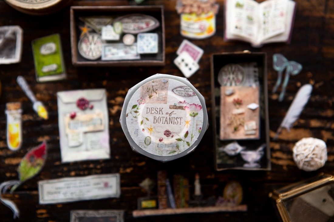 植物學家的書桌 PET膠帶｜OURS森林好朋友