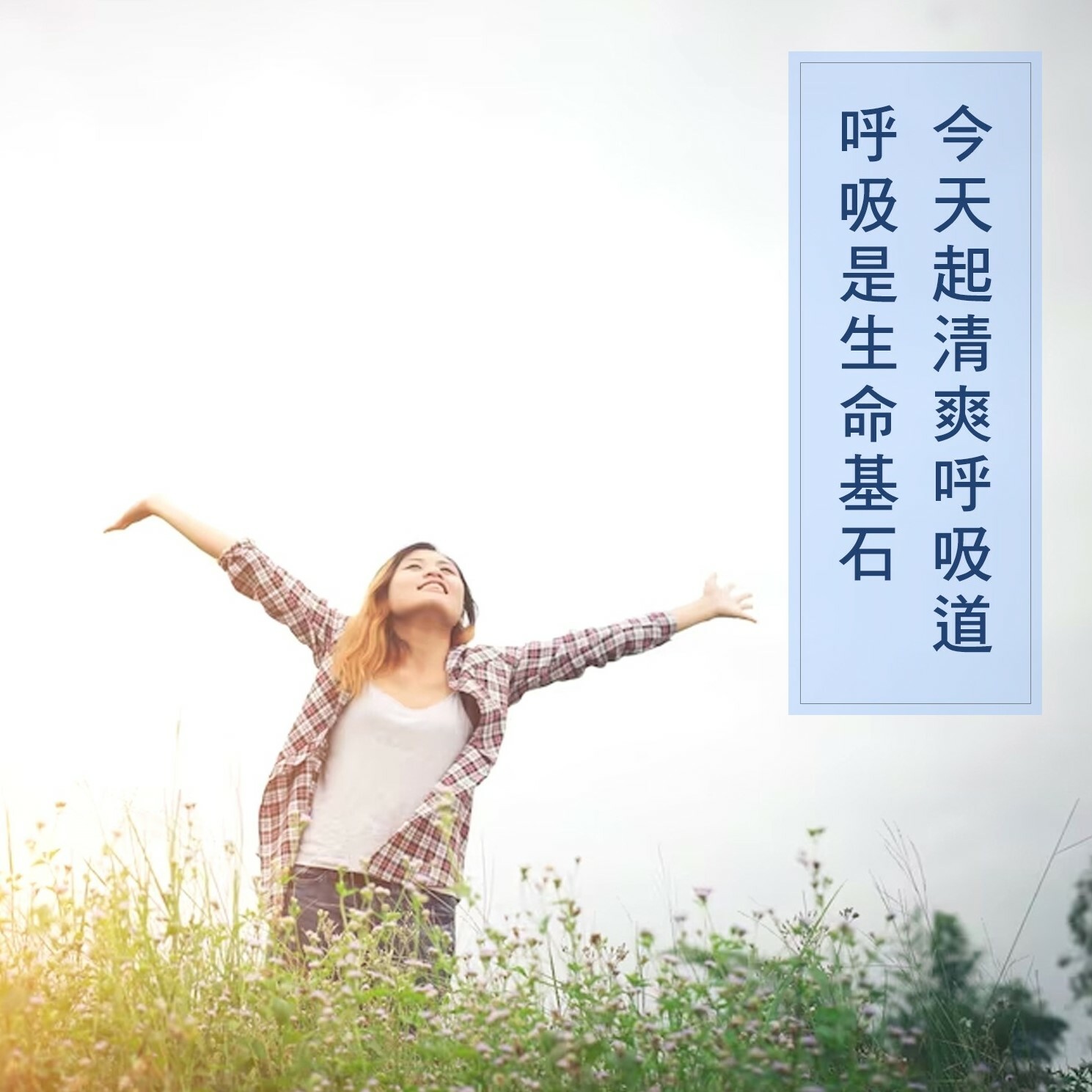 【長青 X 正伍皓漢方聯名商品】敏寧茶｜暢快呼吸，呵護敏感不適！