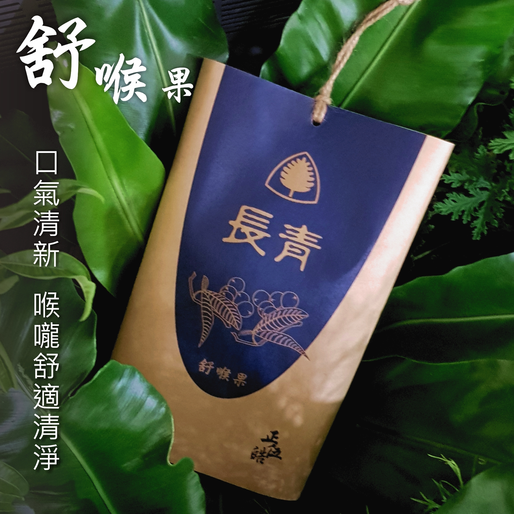 【長青X 正伍皓漢方聯名商品】舒喉果｜潤喉生津、舒緩喉嚨不適、口氣不佳！