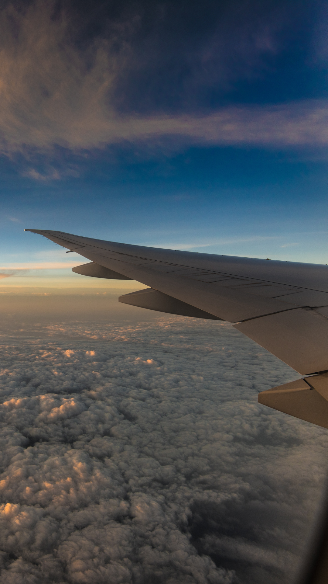 航空物流運輸專區