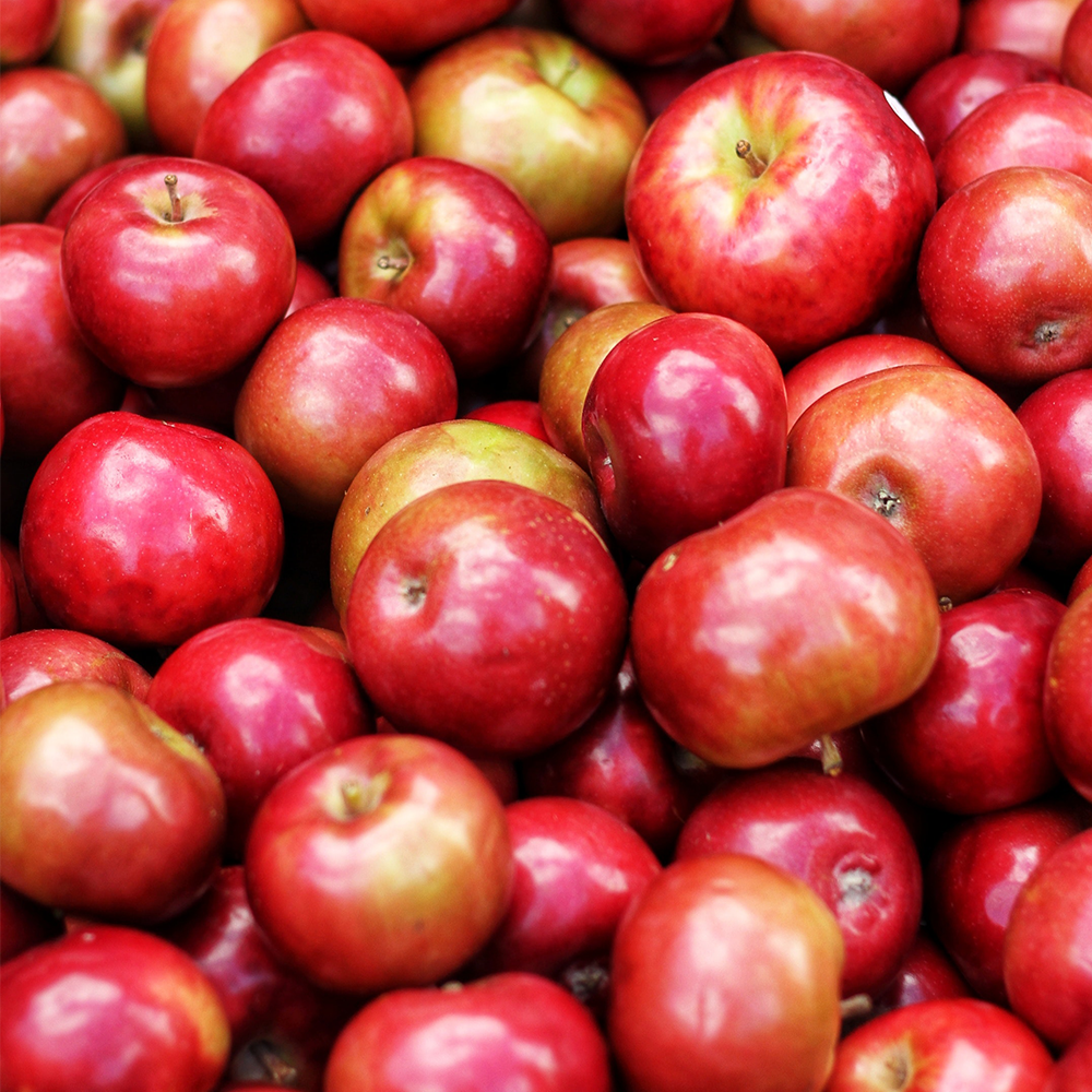 Jane Iredale BeautyPrep™ Face Toner 88.7ml 有機檸檬草平衡爽膚水