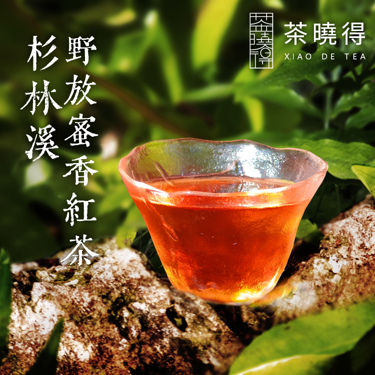 杉林溪野放蜜香紅茶