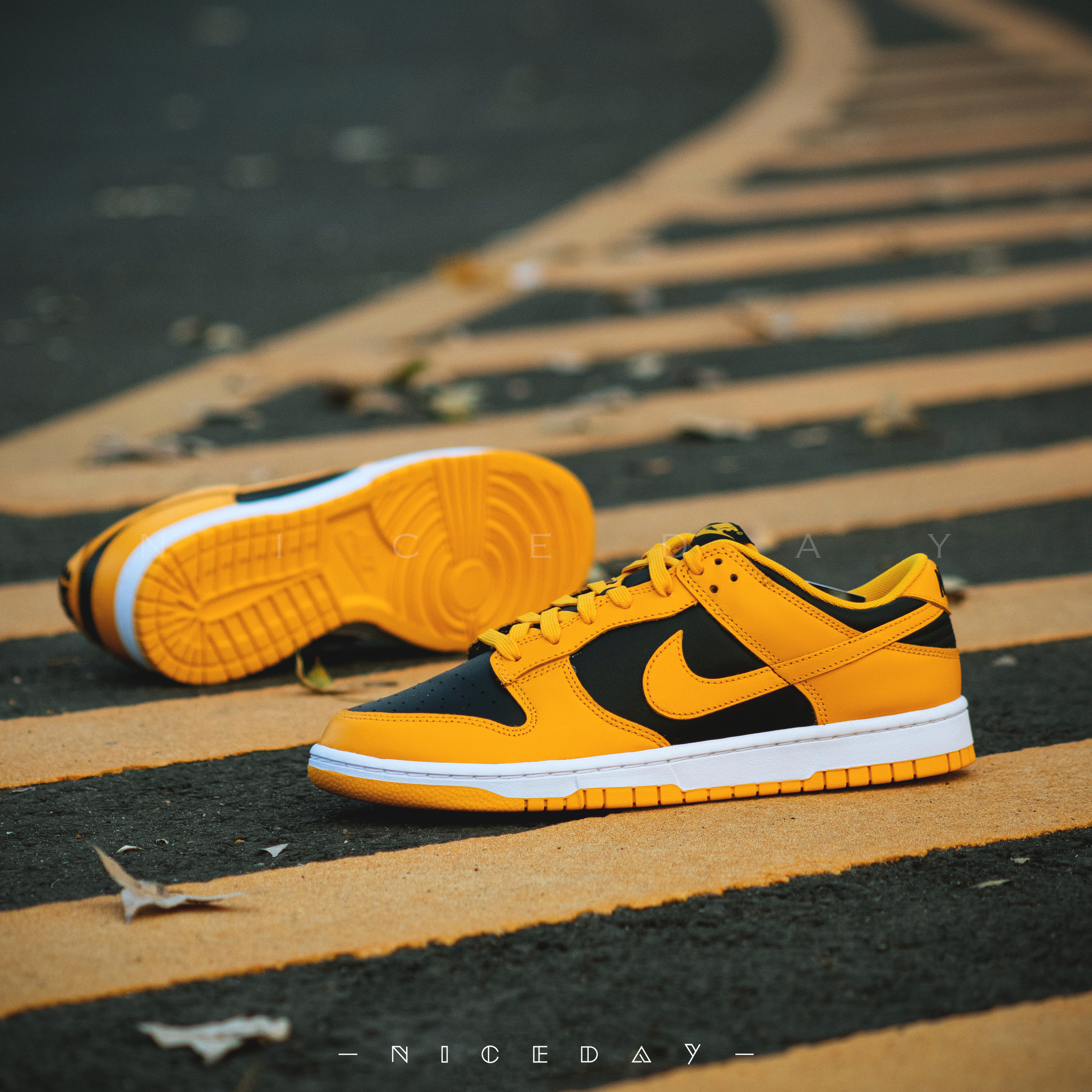 NiceDay 代購 Nike Dunk Low Goldenrod 武當 黑黃 男款 DD1391-004