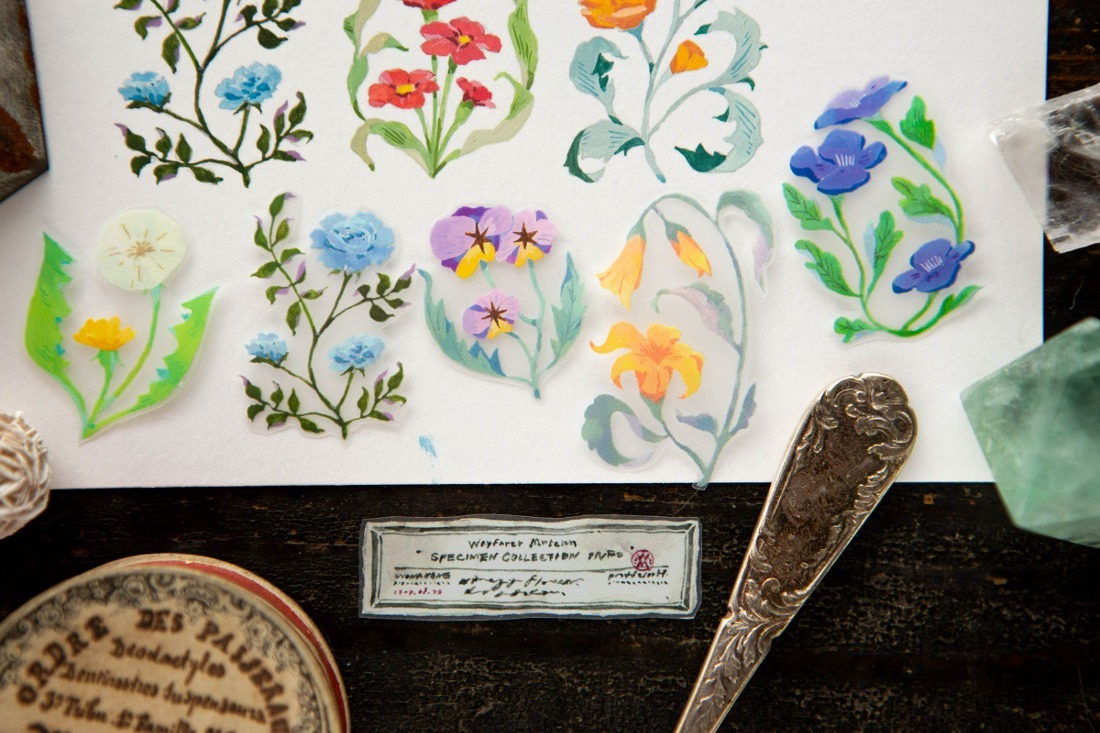 花草帳 PET膠帶｜OURS 森林好朋友