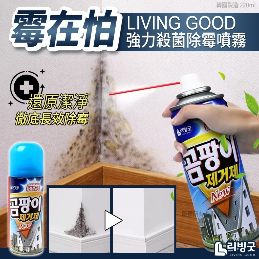 WSBB1894 韓國LIVING GOOD強力殺菌除霉噴霧220ml（現貨 ）